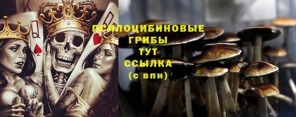 шишки Абдулино