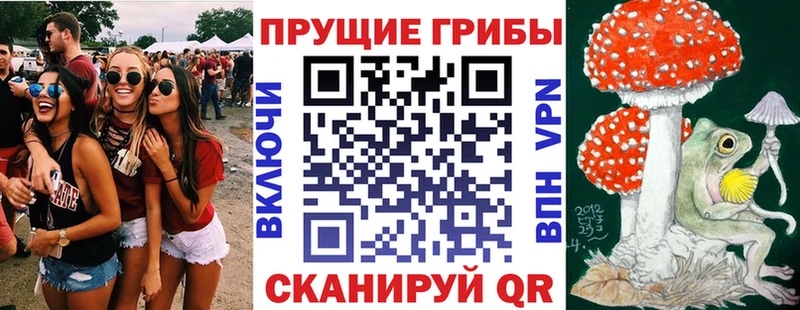 Псилоцибиновые грибы ЛСД  Невельск 